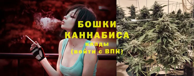 как найти закладки  Электросталь  Шишки марихуана Ganja 